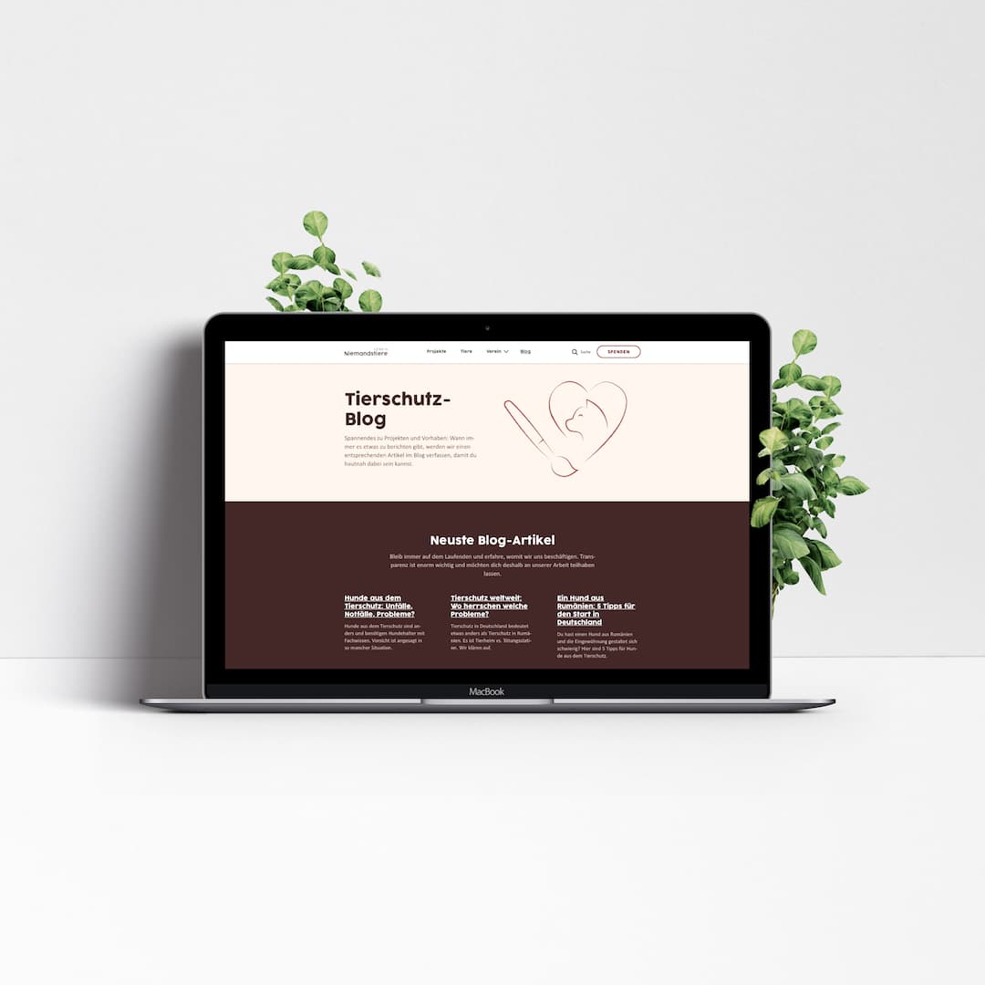 Texte kaufen Niemandstiere