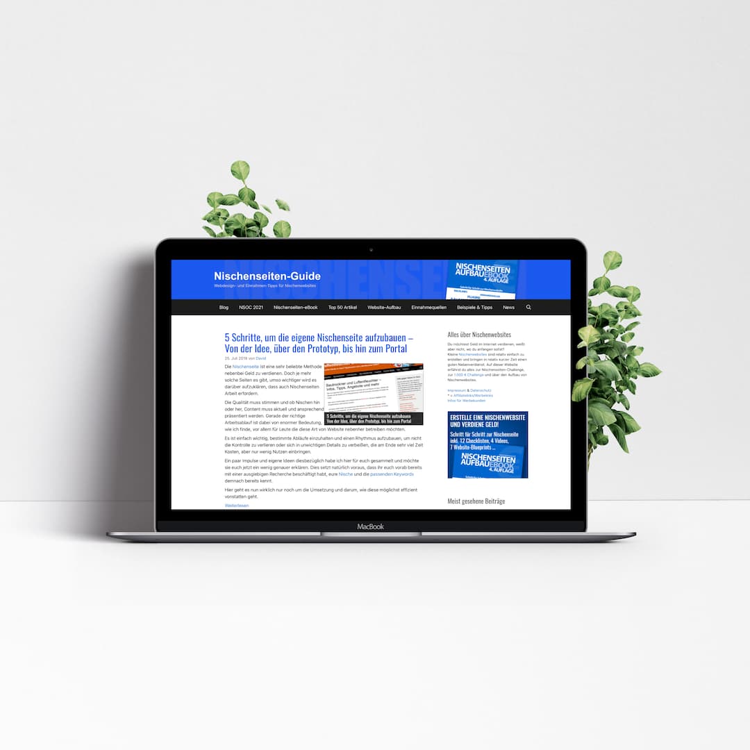 Texte kaufen Nischenseiten Guide