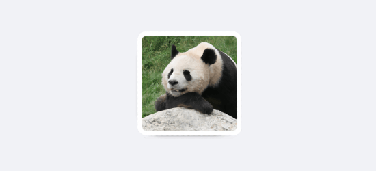TinyPNG